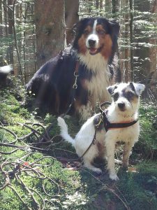 IMG-20170830-WA0005