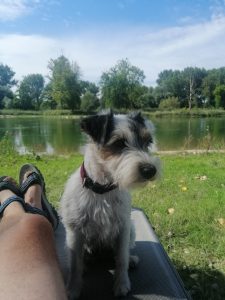 IMG_20200828_154415