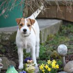 IMG_8773.jpg_1-d9b7ed55