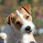 IMG_8857.jpg_1-04cc89c8
